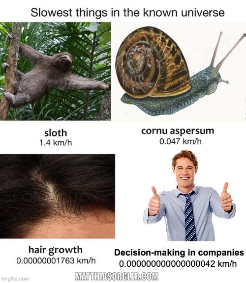 Cover for Want faster time-to-market? Increase your decision-making speed!