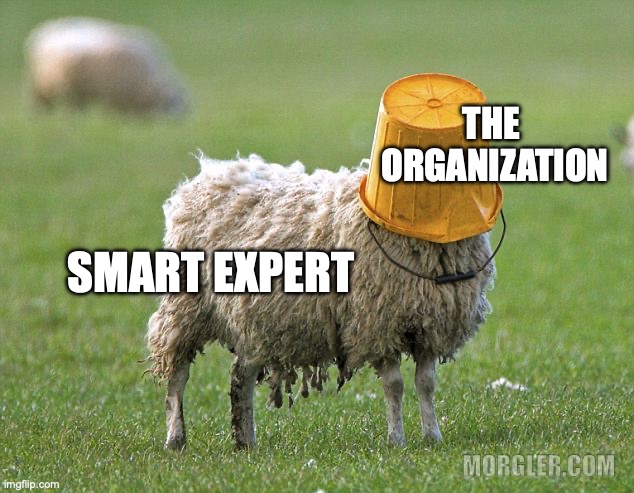 Many Organizations Accidentally Train People to Stop Thinking
