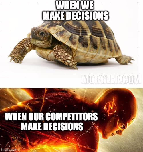 Cover for PATI: The Fast-Track to Empowered Teams and Better Decisions