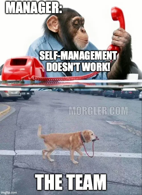 Learned Helplessness: The Hidden Barrier to Agility